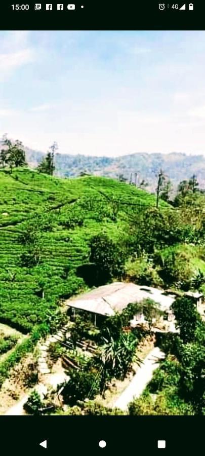 Tunnel Gap Homestay إيلا المظهر الخارجي الصورة