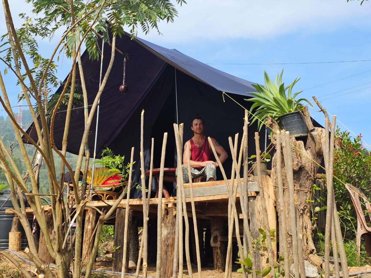 Tunnel Gap Homestay إيلا المظهر الخارجي الصورة