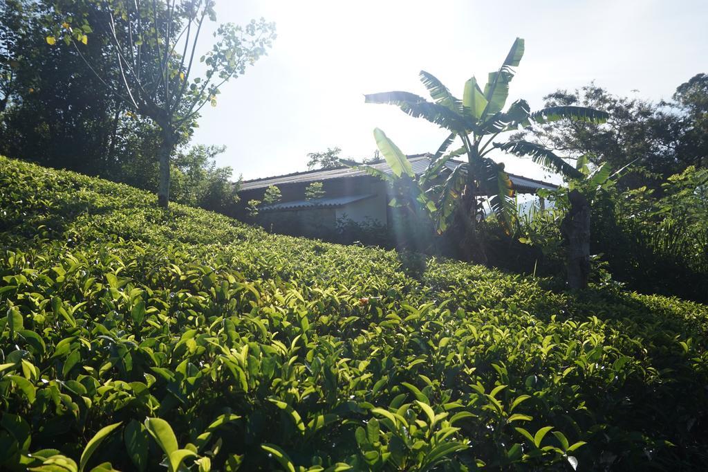 Tunnel Gap Homestay إيلا المظهر الخارجي الصورة