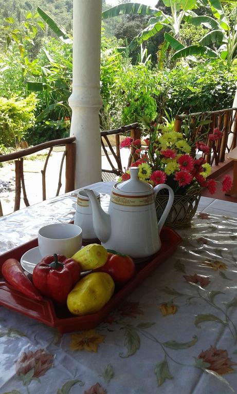 Tunnel Gap Homestay إيلا المظهر الخارجي الصورة