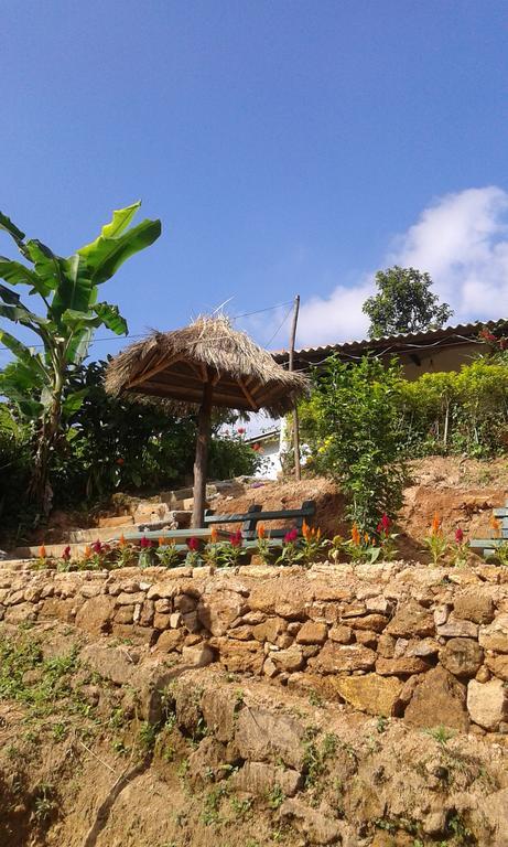 Tunnel Gap Homestay إيلا المظهر الخارجي الصورة