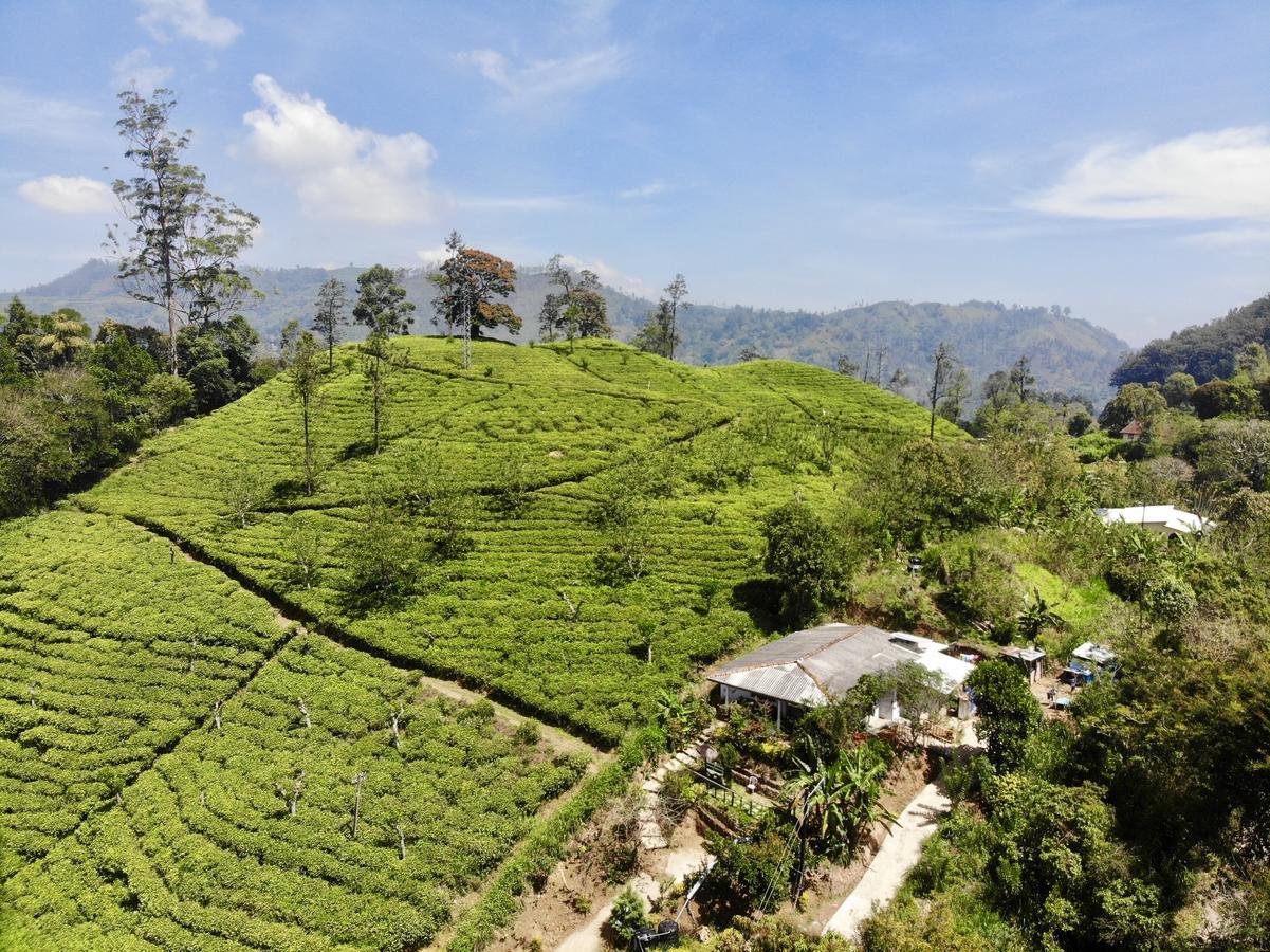 Tunnel Gap Homestay إيلا المظهر الخارجي الصورة